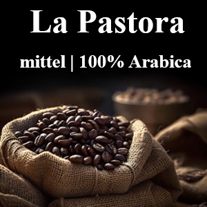 Costa Rica "SHP EP La Pastora"