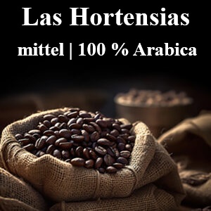 Mexiko Las Hortensias