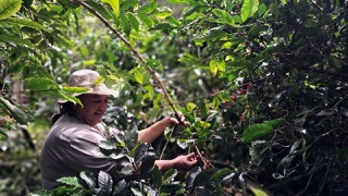Ecuador Jipijapa – Bild 4